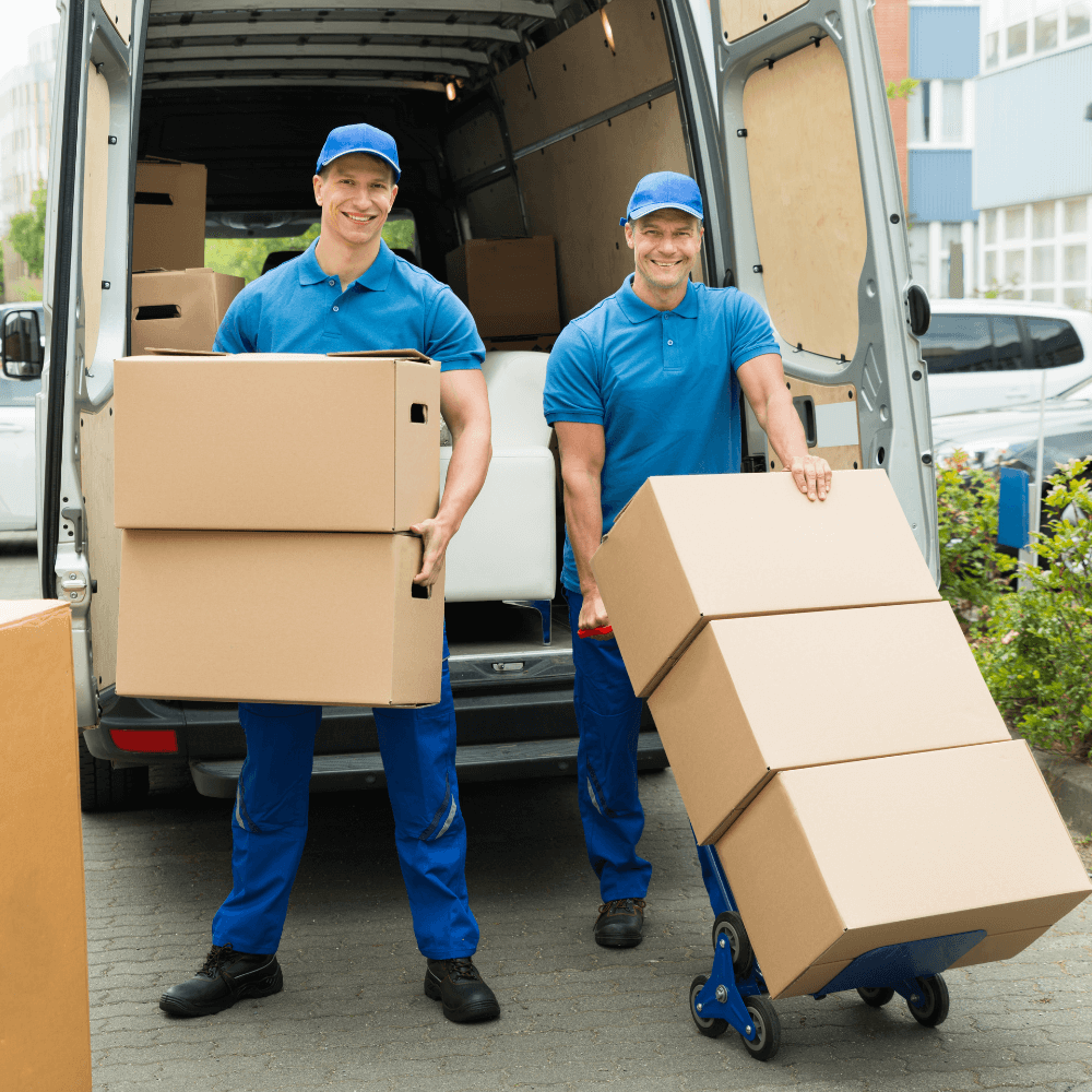 Collection and Delivery Insurance